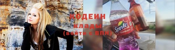 спиды Лиски