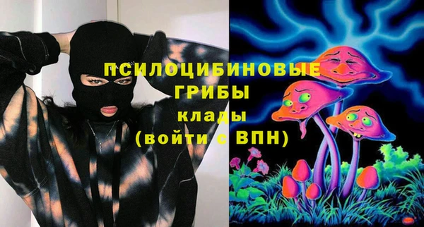 спиды Лиски