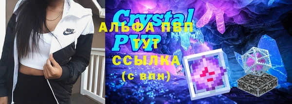спиды Лиски