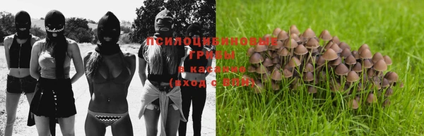 спиды Лиски